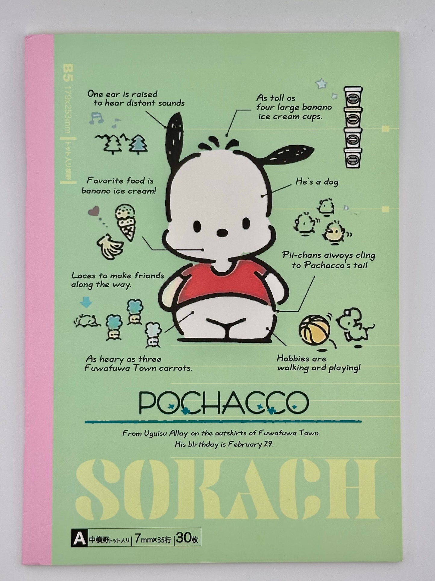 Sanrio Character B5 Notebook – 30 Sheets | Cinnamoroll, Kuromi, Hello Kitty & Pochacco